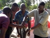 Preparing distribution